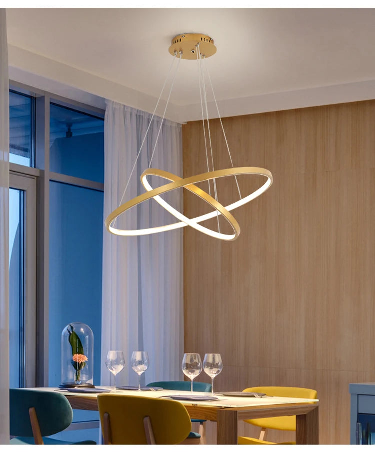 2 Rings Chandelier