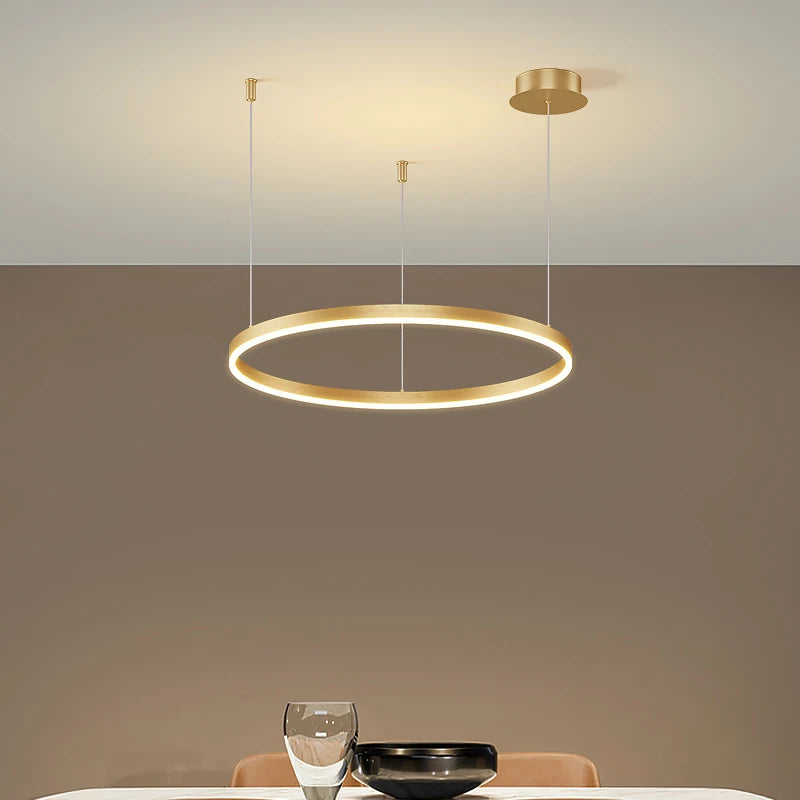 Modern Ceiling Chandelier 3