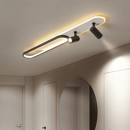 Halo & Spot Ceiling Light