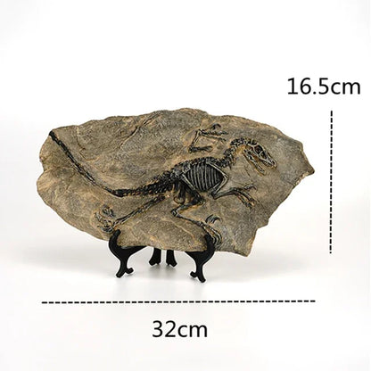 Dinosaur Fossil