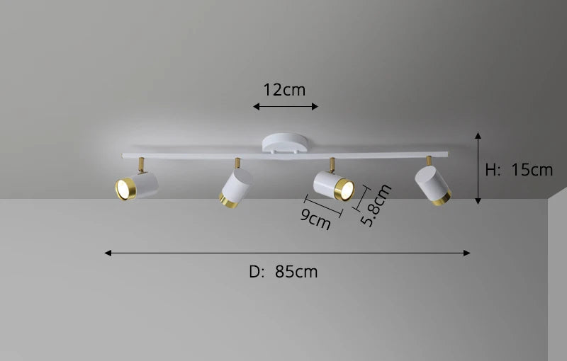 Spots Ceiling Fixture