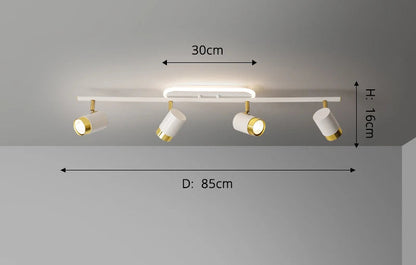 Spots Ceiling Fixture