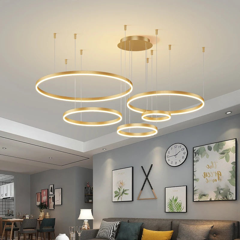 Modern Ceiling Chandelier 3