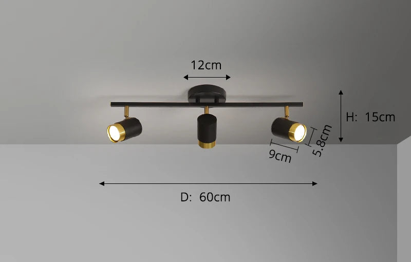 Spots Ceiling Fixture