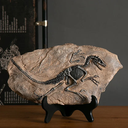 Dinosaur Fossil