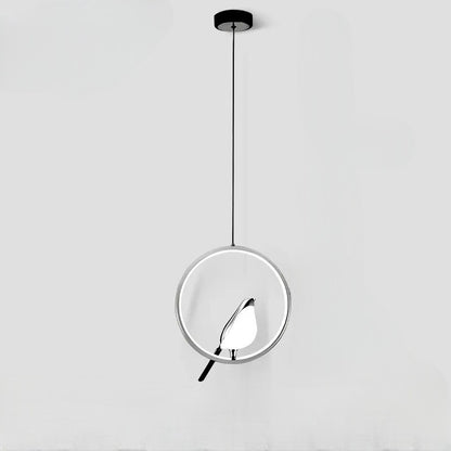 Bird in Hanging Ring Light