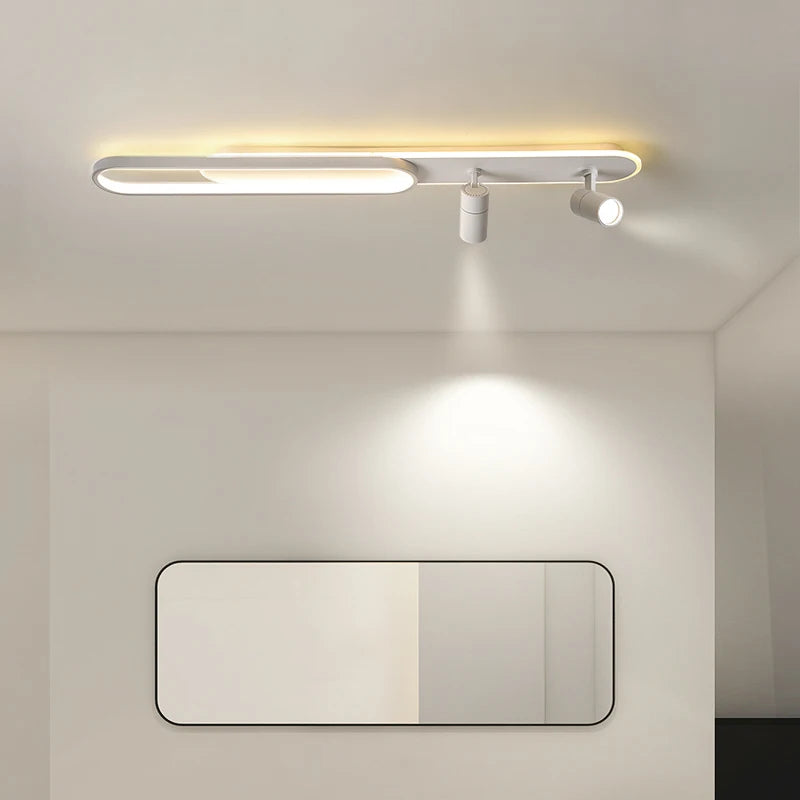 Halo & Spot Ceiling Light