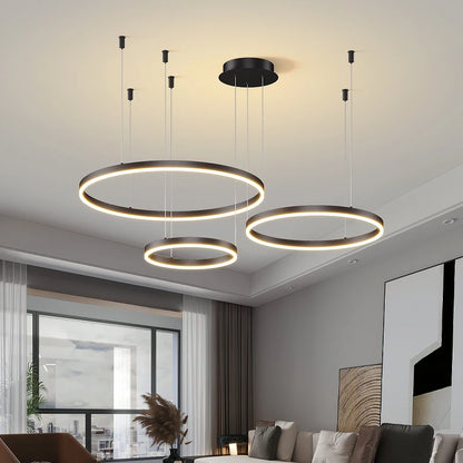 Modern Ceiling Chandelier 3