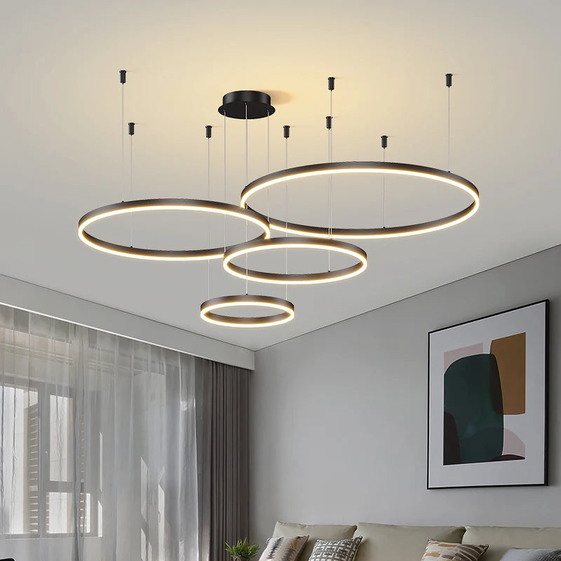 Modern Ceiling Chandelier 3