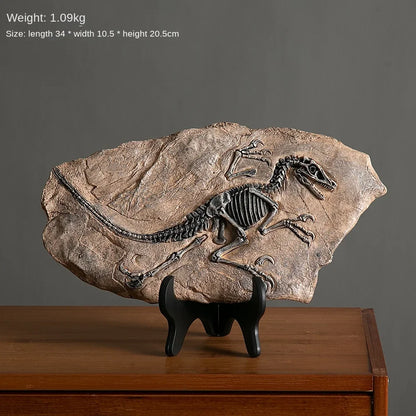 Dinosaur Fossil