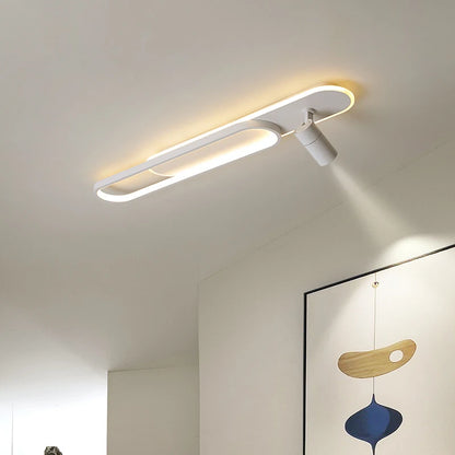 Halo & Spot Ceiling Light