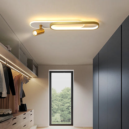 Halo & Spot Ceiling Light