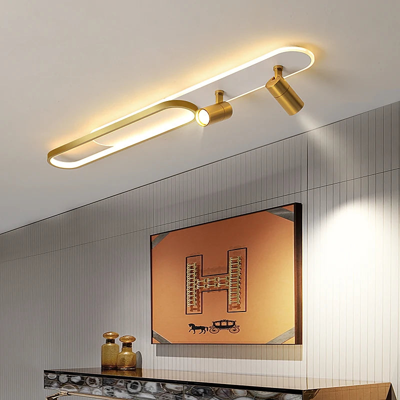 Halo & Spot Ceiling Light