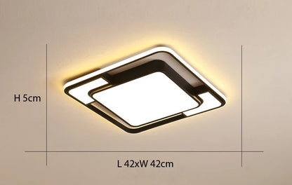 Rectangle Modern Ceiling Light