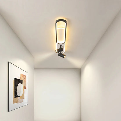 Halo & Spot Ceiling Light