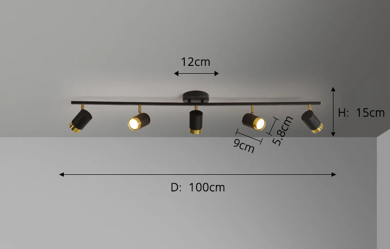 Spots Ceiling Fixture