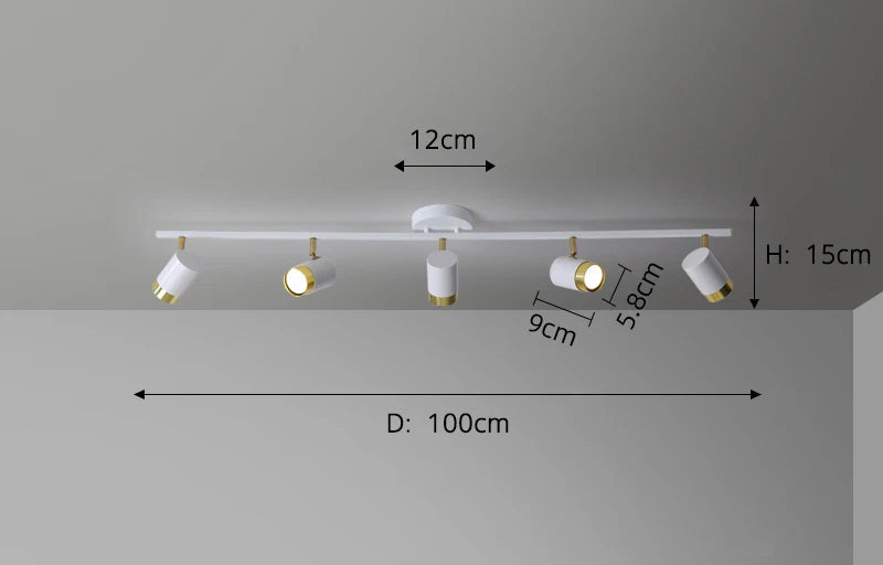 Spots Ceiling Fixture